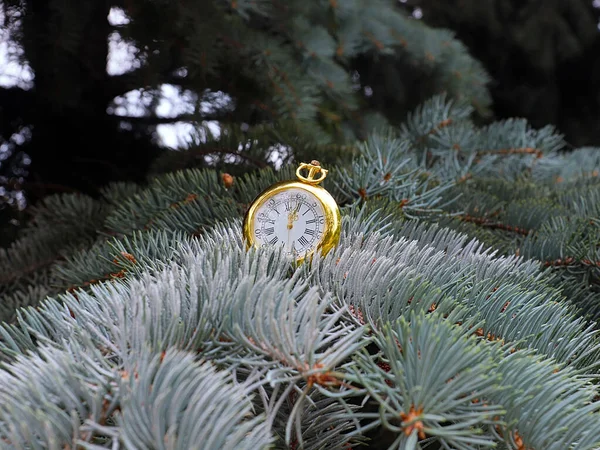 Reloj Vintage Colgando Una Rama Pino Navidad — Foto de Stock