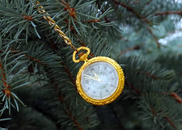 Vintage Zakhorloge Een Gouden Kast Liggen Een Dennenboom Tak Als — Stockfoto