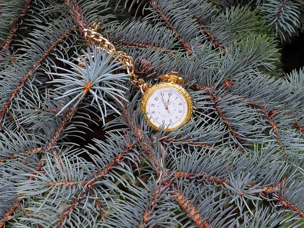 Relógio Bolso Vintage Uma Caixa Ouro Mentira Ramo Pinho Como — Fotografia de Stock
