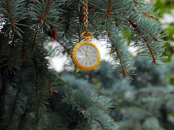 ゴールドケースのヴィンテージポケットウォッチは クリスマスのシンボルとして松の枝にあります — ストック写真