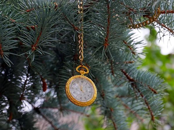 Vintage Taschenuhr Goldgehäuse Auf Einem Tannenzweig Als Symbol Für Weihnachten — Stockfoto