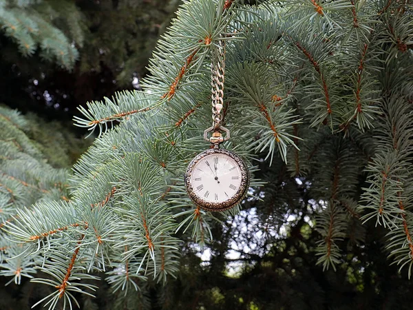 크리스마스의 상징으로 소나무가지에 빈티지 시계가 — 스톡 사진