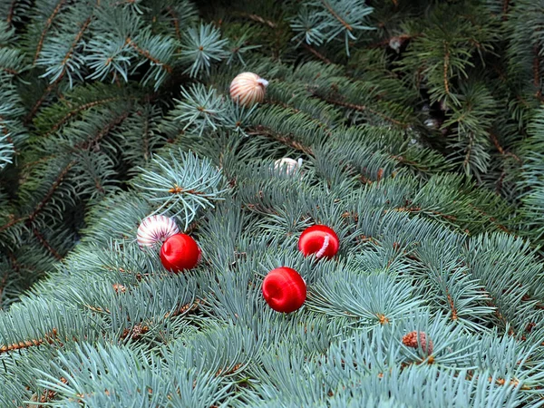 Adoráveis Galhos Árvore Natal Decorados Com Bolas Coloridas — Fotografia de Stock