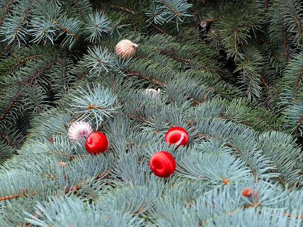 Όμορφα Κλαδιά Χριστουγεννιάτικου Δέντρου Διακοσμημένα Πολύχρωμες Μπάλες — Φωτογραφία Αρχείου