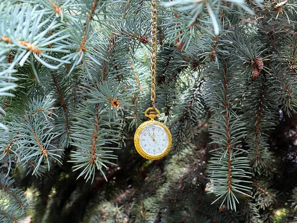 Zabytkowy Zegarek Kieszonkowy Złotym Łańcuszku Wiszącym Gałęzi Choinki — Zdjęcie stockowe