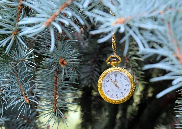 Reloj Bolsillo Antiguo Una Cadena Oro Colgando Una Rama Pino —  Fotos de Stock