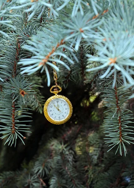 クリスマス松の枝に吊るされた金の鎖にアンティークの懐中時計 — ストック写真
