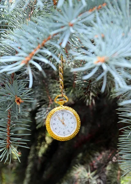 Antike Taschenuhr Einer Goldkette Die Einem Tannenzweig Hängt — Stockfoto