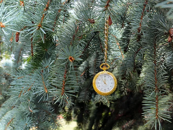 Старинные Карманные Часы Золотой Цепи Висящие Рождественской Сосновой Ветке — стоковое фото
