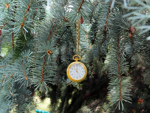 Relógio Bolso Antigo Uma Corrente Ouro Pendurado Ramo Pinho Natal — Fotografia de Stock