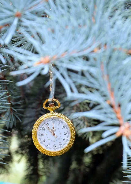 Relógio Bolso Antigo Uma Corrente Ouro Pendurado Ramo Pinho Natal — Fotografia de Stock