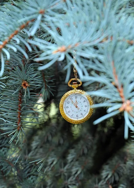 Antike Taschenuhr Einer Goldkette Die Einem Tannenzweig Hängt — Stockfoto