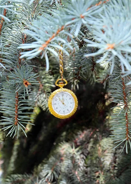 Reloj Bolsillo Antiguo Una Cadena Oro Colgando Una Rama Pino —  Fotos de Stock