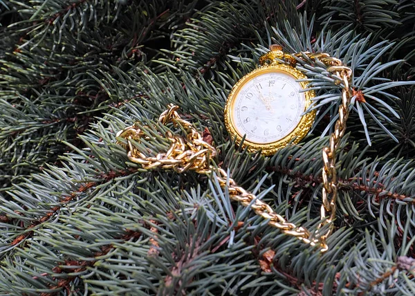 Reloj Bolsillo Vintage Una Caja Oro Encuentran Una Rama Pino — Foto de Stock