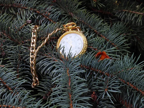ゴールドケースのヴィンテージポケットウォッチは クリスマスツリーの枝にあります — ストック写真