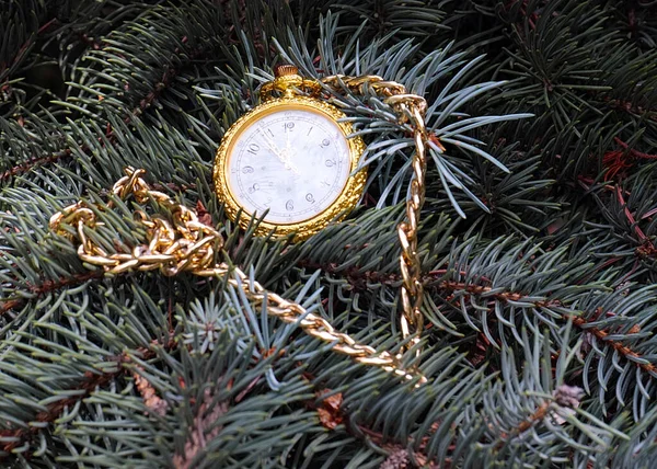 Retro Kapesní Hodinky Zlatém Pouzdře Leží Větvi Vánoční Borovice — Stock fotografie