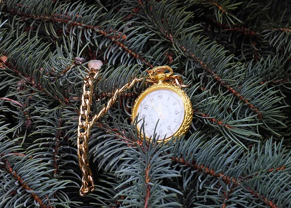 Zabytkowy Zegarek Kieszonkowy Złotym Etui Leży Gałęzi Choinki — Zdjęcie stockowe