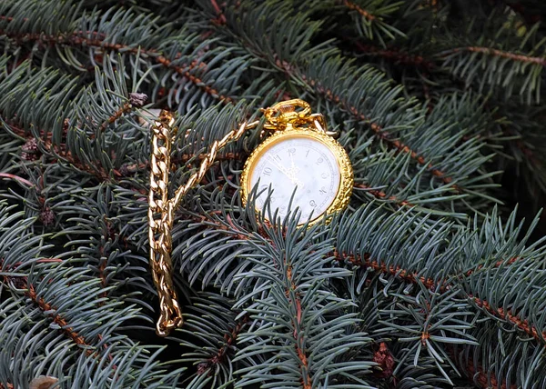 Vintage Pocket Watch Gold Case Lie Branch Christmas Pine Tree — Stock Photo, Image