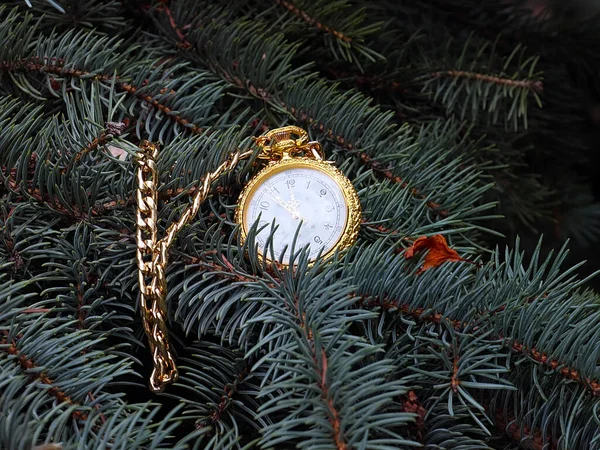 Vintage Zakhorloge Een Gouden Kast Liggen Een Tak Van Een — Stockfoto