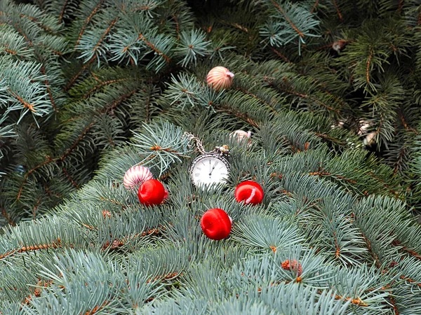 美しいボールとアンティークの懐中時計は 新年の松の枝に装飾のような嘘 — ストック写真