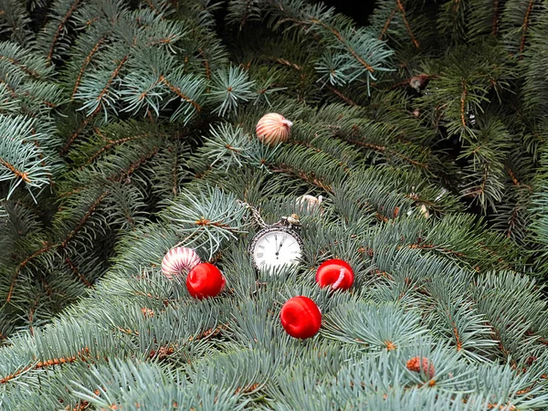 漂亮的球和一只古董怀表躺在树上 就像挂在新年树枝上的装饰品 — 图库照片