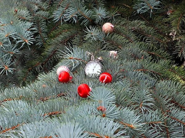 Bolas Encantadoras Relógio Bolso Antigo Mentem Como Decoração Nos Ramos — Fotografia de Stock