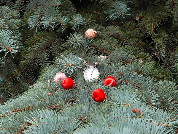 Belle Palle Antico Orologio Tasca Trovano Come Decorazione Sui Rami — Foto Stock