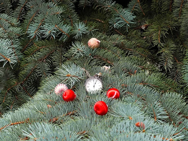 Belle Palle Antico Orologio Tasca Trovano Come Decorazione Sui Rami — Foto Stock