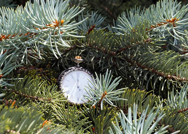 Antico Orologio Pende Sui Rami Albero Natale Come Inizio Della — Foto Stock