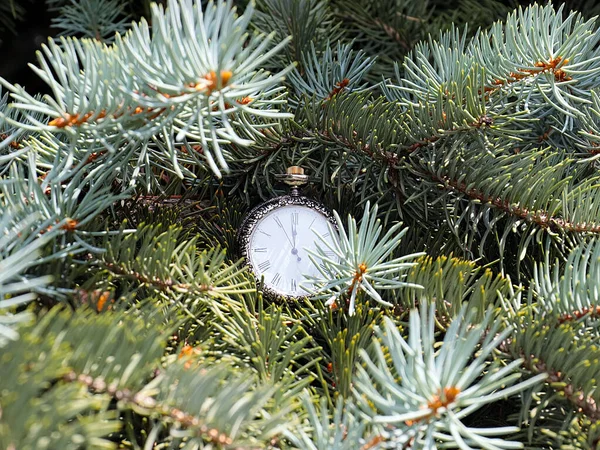 Antico Orologio Pende Sui Rami Albero Natale Come Inizio Della — Foto Stock