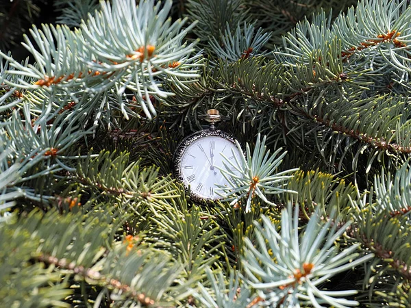 Antico Orologio Pende Sui Rami Albero Natale Come Inizio Della — Foto Stock