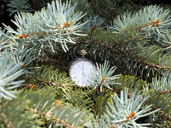 Eine Antike Uhr Hängt Zum Ferienbeginn Den Zweigen Eines Weihnachtsbaums — Stockfoto