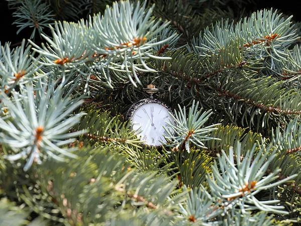 Noel Ağacının Dallarına Asılı Antika Bir Saat Bayramın Başlangıcında — Stok fotoğraf
