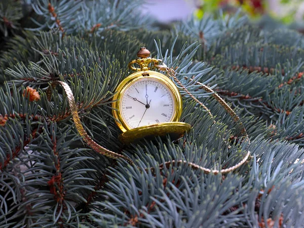 Zabytkowy Zegarek Kieszonkowy Wiszący Gałęziach Sosny Noworocznej Jako Przeddzień Bożego — Zdjęcie stockowe