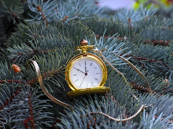 Orologio Tasca Antico Appeso Rami Pino Nuovo Anno Come Vigilia — Foto Stock