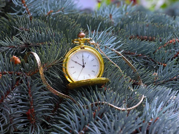 クリスマスの前夜に松の木の枝に吊るされたアンティークの懐中時計 — ストック写真