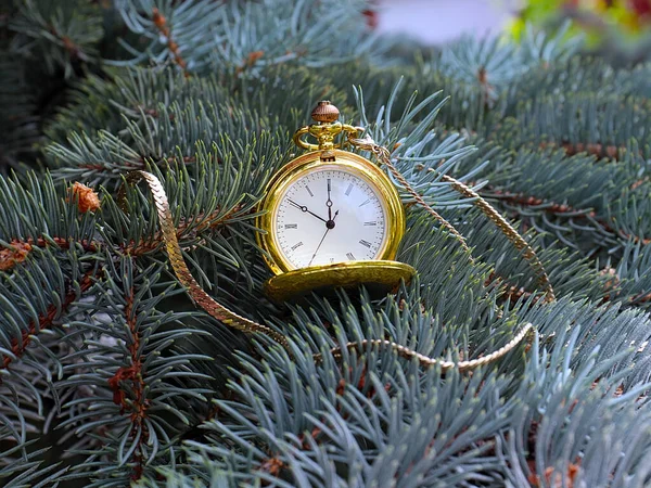 Orologio Tasca Antico Appeso Rami Pino Nuovo Anno Come Vigilia — Foto Stock