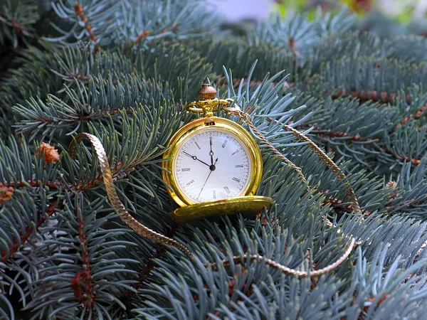 Orologio Tasca Antico Appeso Rami Pino Nuovo Anno Come Vigilia — Foto Stock