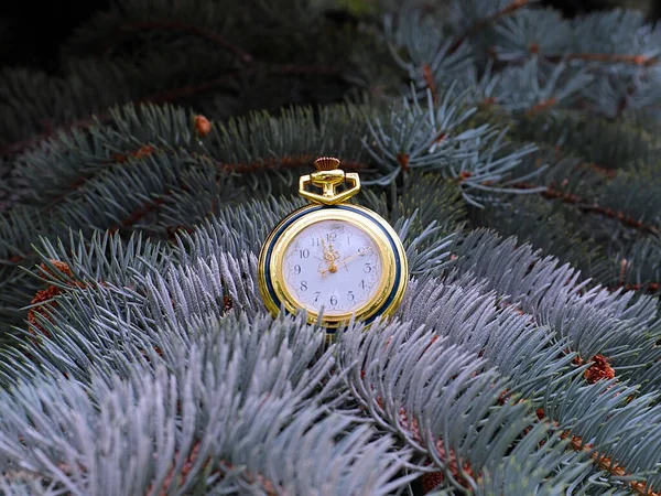 Старинные Карманные Часы Висящие Ветвях Новогодней Сосны Канун Рождества — стоковое фото