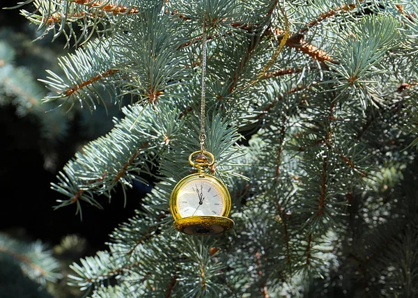 Orologio Tasca Antico Sui Rami Pino Capodanno Alla Vigilia Natale — Foto Stock