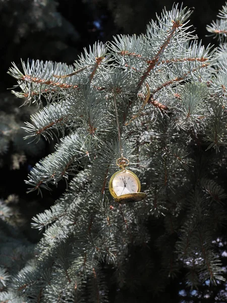 Orologio Tasca Antico Sui Rami Pino Capodanno Alla Vigilia Natale — Foto Stock