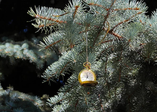 Antike Taschenuhr Auf Ästen Des Silvesterbaums Heiligabend — Stockfoto