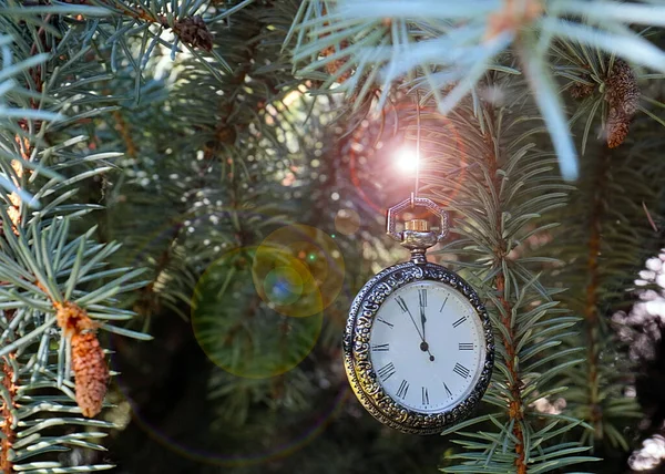 Antike Taschenuhr Auf Ästen Des Silvesterbaums Heiligabend — Stockfoto