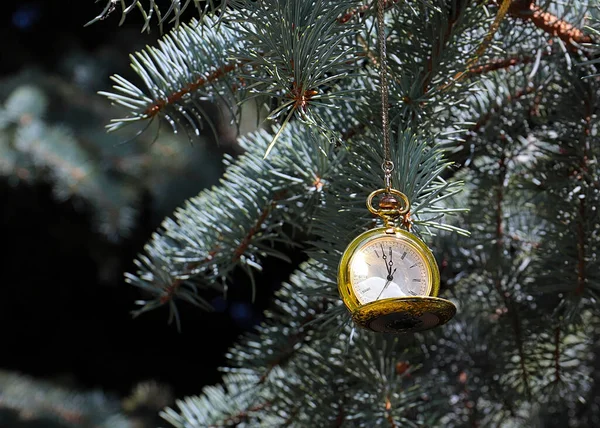 Relógio Bolso Antigo Ramos Pinho Ano Novo Véspera Natal — Fotografia de Stock