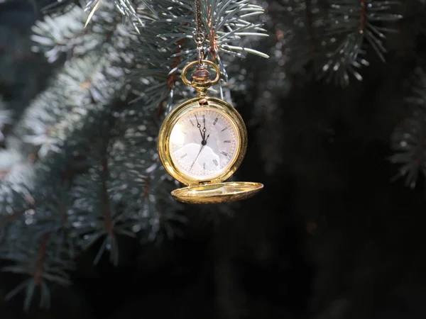 Reloj Bolsillo Antiguo Las Ramas Pino Año Nuevo Víspera Navidad — Foto de Stock