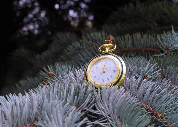 Antique Pocket Watch Hanging Branches New Year Pine Tree Eve — Stock Photo, Image