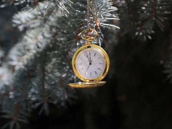 Antique Pocket Watch Branches New Year Pine Tree Christmas Eve — Stock Photo, Image