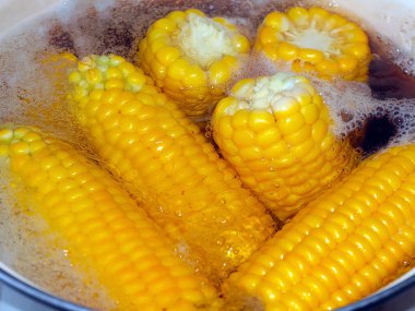 Güzel olgun mısır başakları. Yemek için kaynatma sürecinde.