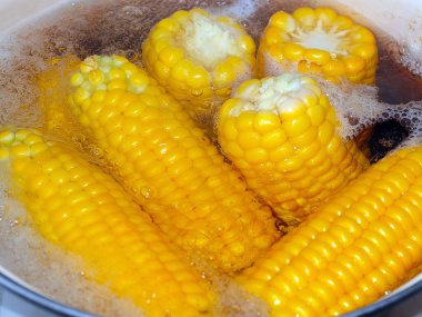 Güzel olgun mısır başakları. Yemek için kaynatma sürecinde.