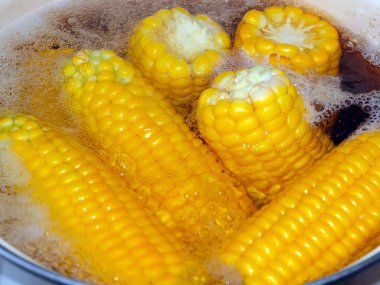 Güzel olgun mısır başakları. Yemek için kaynatma sürecinde.